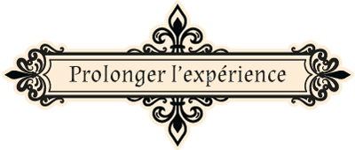 Logo-Prolonger-lexperience